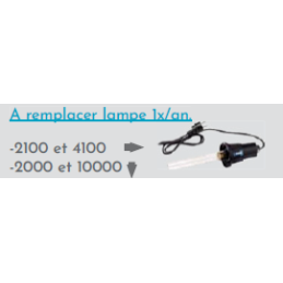 Néon quartz pour Lampe UV 2100